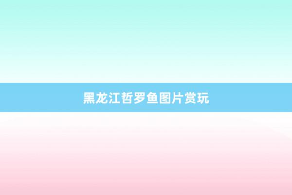 黑龙江哲罗鱼图片赏玩